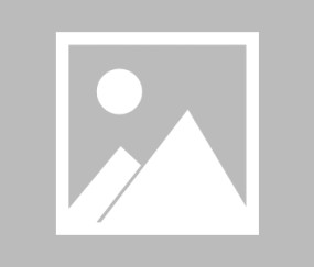 贝博网站 -关键时刻西甲传出新动向，里尔手感冰凉，管理层表态——信心回归，医务组通报恢复的简单介绍